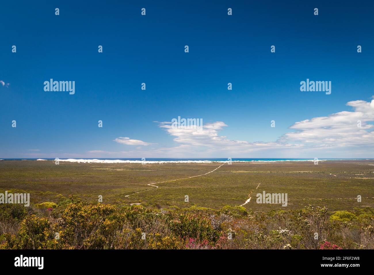 Scenic view landscape with fynbos vegetation at De Hoop nature reserve with sand dunes at Atlantic Ocean coast, South Africa against sky Stock Photo