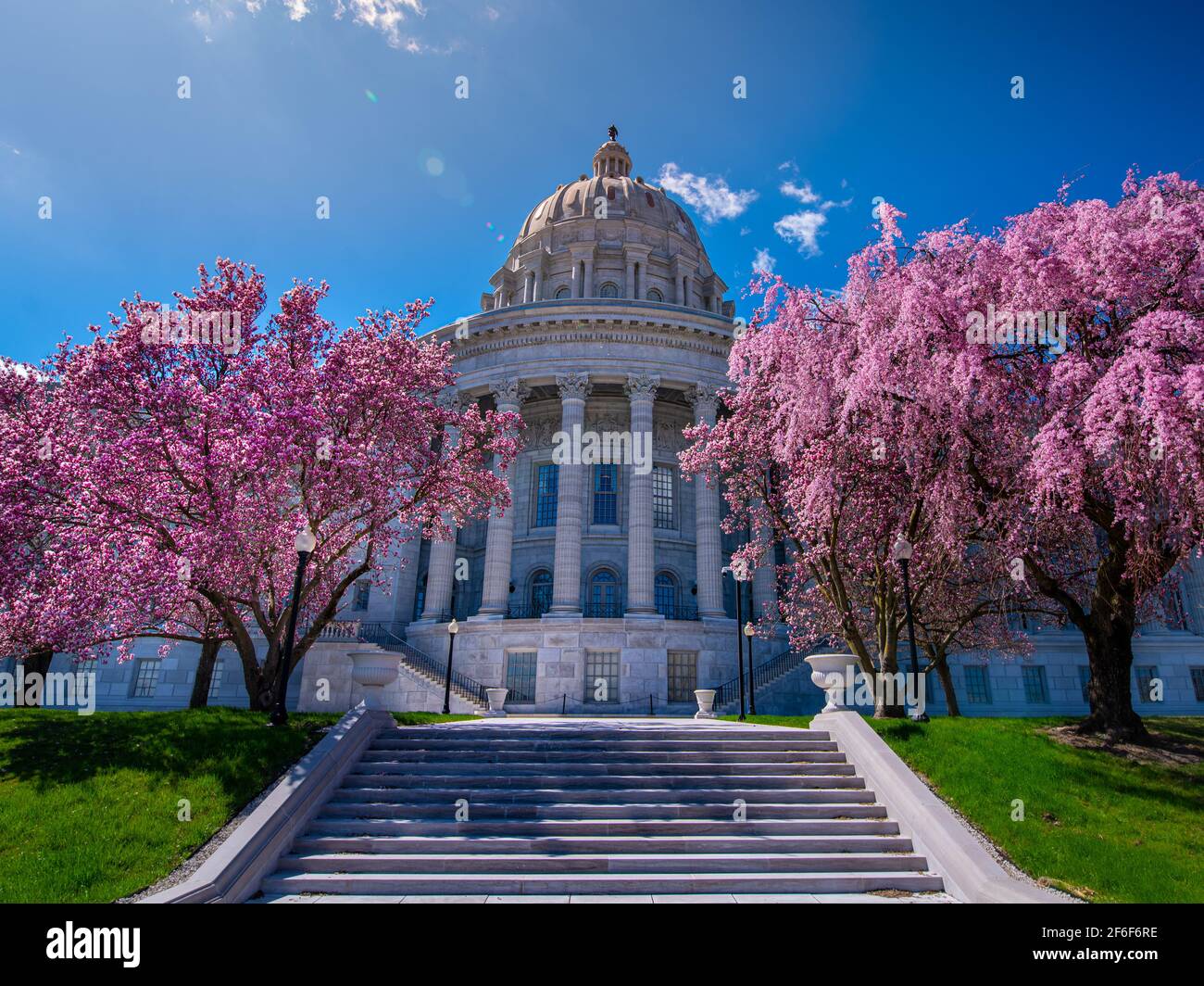 Pink magnolia and red bud flowers blooming beside stairs leading to