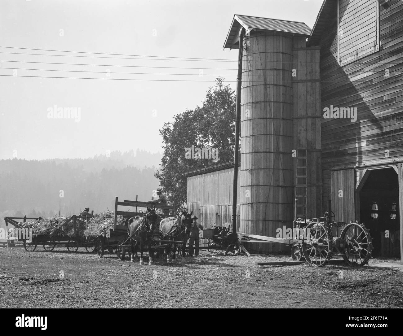 Yard of one of the eight cooperating farmers whose corn is being stored