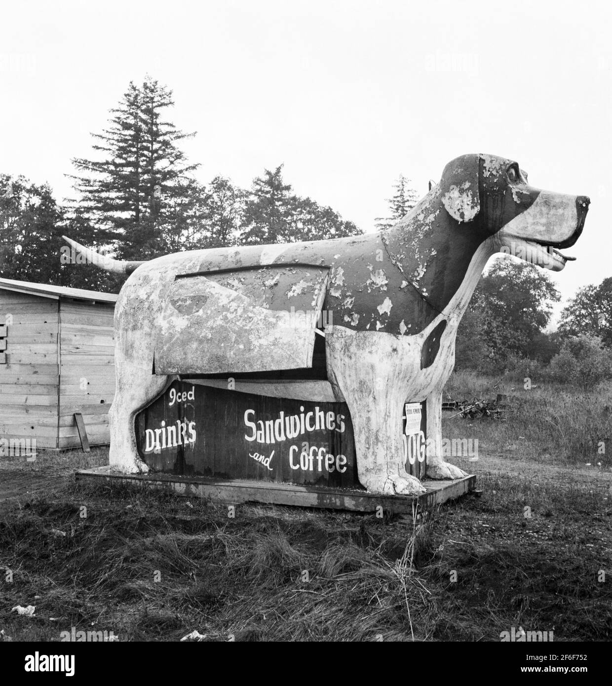 Dog architecture sandwich and coffee stand on U.S. 99 as it continues through Oregon. Lane County, Williamette Valley, Oregon. 1939. Photograph by Dorothea Lange. Stock Photo