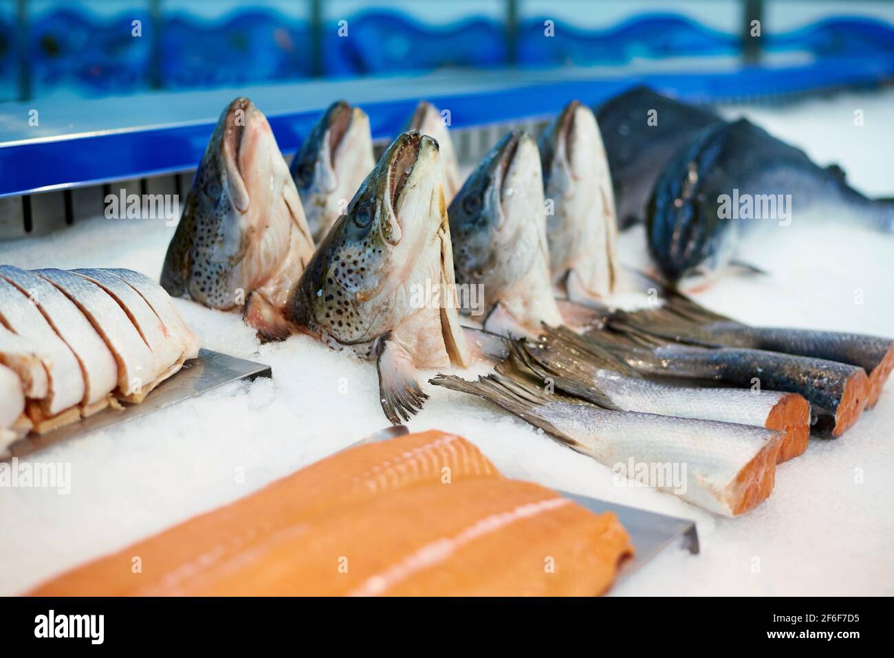 Showcase with raw fish in the supermarket Stock Photo Alamy