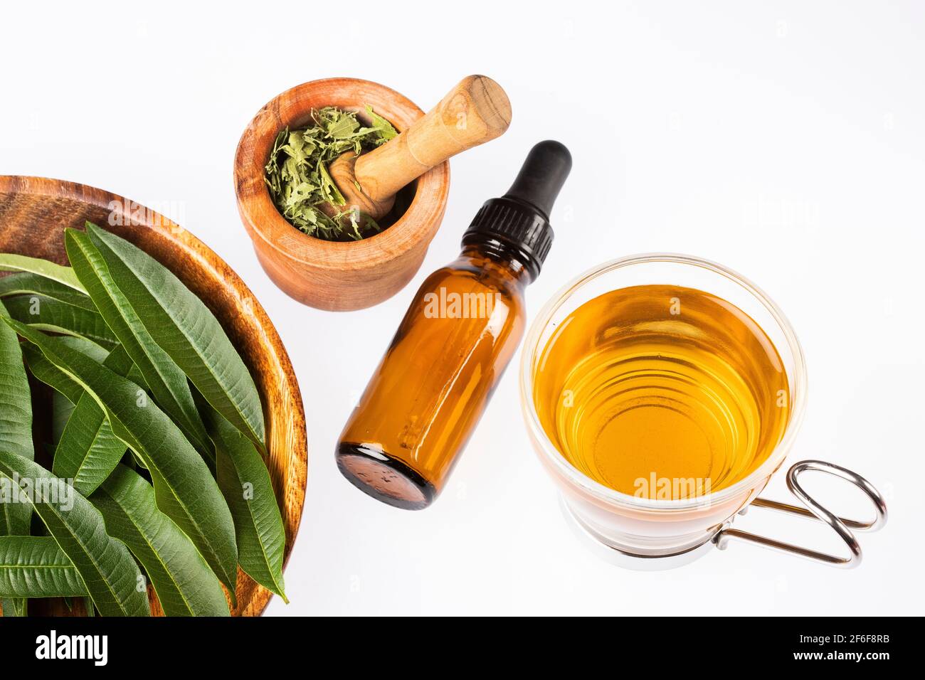 Lemon verbena herb essential oil and text label. Aromatic and therapeutic  plant. Aloysia citrodora herbal tea and aromatherapy, homeopathy use Stock  Photo - Alamy