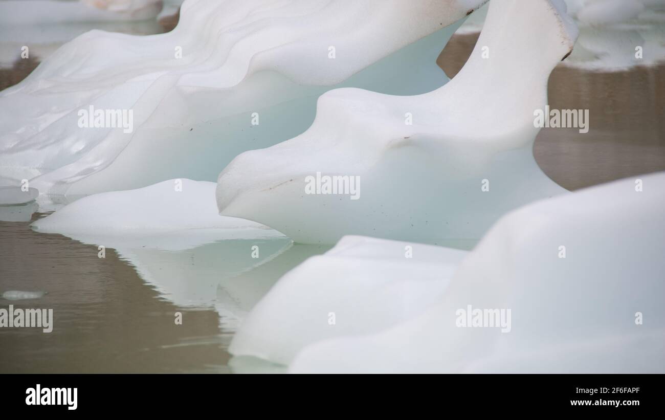 Closeup of small icebergs floating in a glacier-fed pool at the bottom of Angel Glacier, or Ghost Glacier, in Jasper National Park, Alberta, Canada. Stock Photo