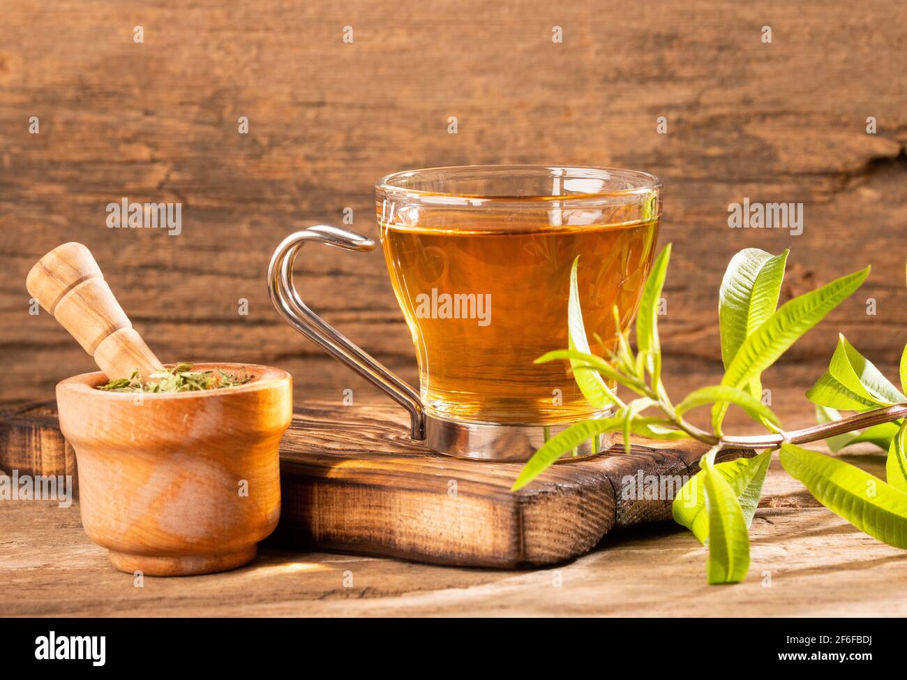 Tea with lemon verbena - Aloysia citrodora Stock Photo
