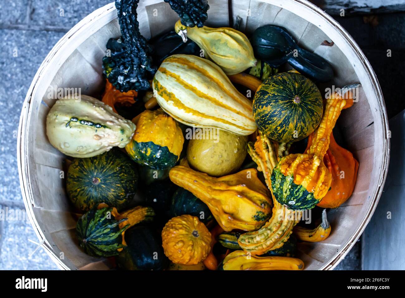 A close-up shot of a basket of Halloween gourds being sold at an autumn farmers market in Toronto, Ontario, Canada in October in time for Thanksgiving. Stock Photo