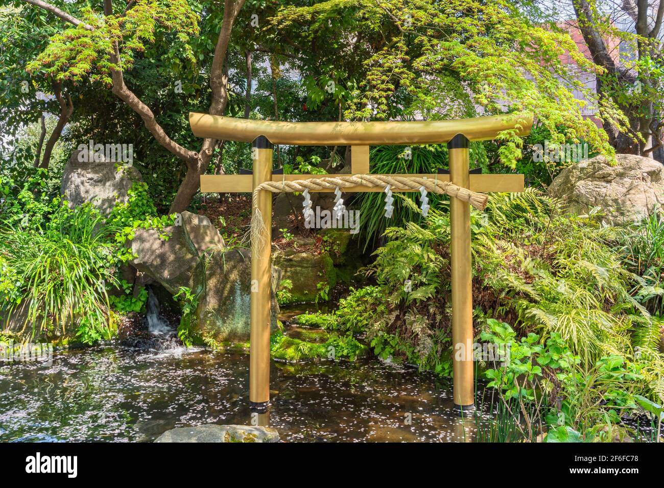 Tokyo Japan March 25 21 Japanese Golden Gate Named Torii Adorned With A Sacred Straw Rope Called Shimenawa In The Pond Of Atago Shrine Covered W Stock Photo Alamy Tokyo Japan March 25 21 Japanese Golden Gate Named Torii Adorned With A Sacred Straw Rope Called Shimenawa In The Pond Of Atago Shrine Covered W Stock Photo Alamy