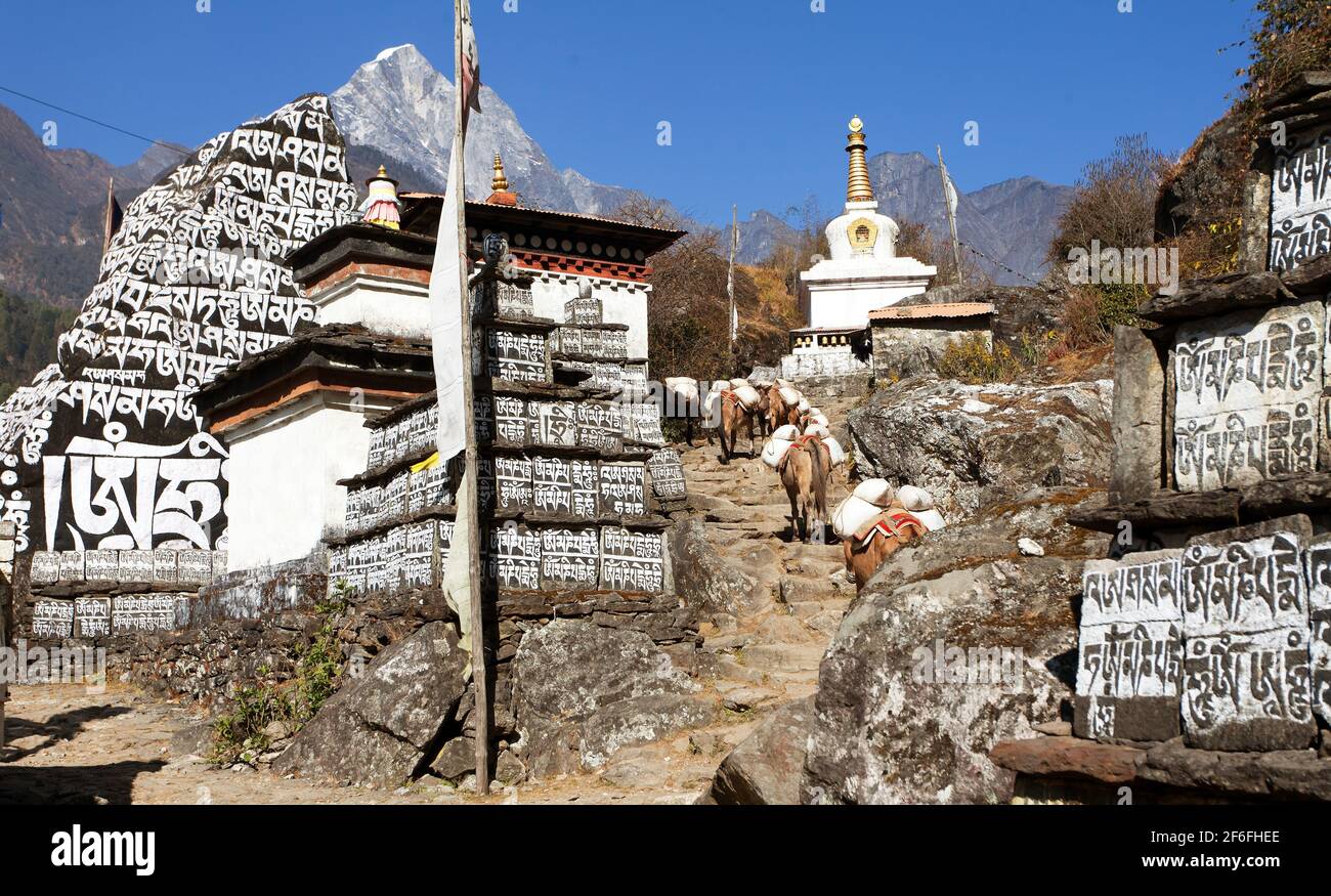Buddhist prayer mani walls with stupa, prayer flag and caravan of mules, way to Everest base camp, way from Lukla to Namche Bazar, Nepal Stock Photo