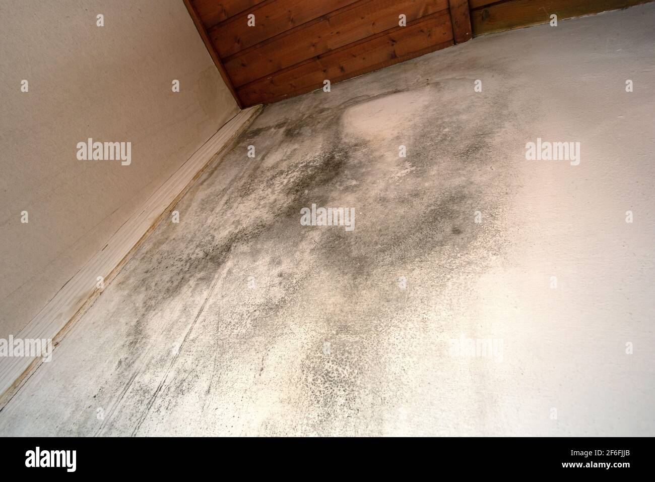 Black mold in the corner, old ceiling of building, water damage causing