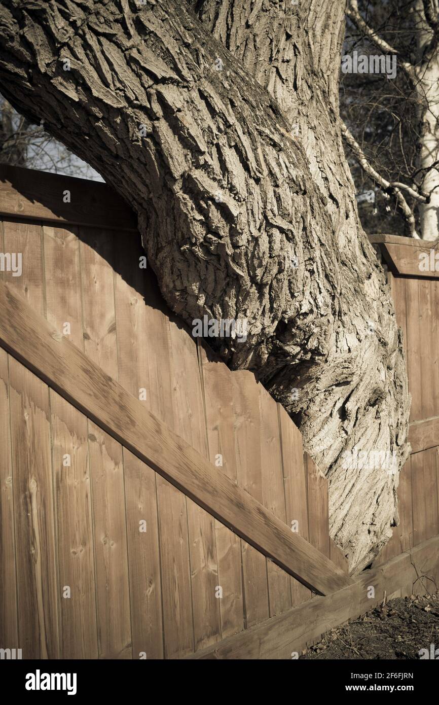 Overhanging fence hires stock photography and images Alamy
