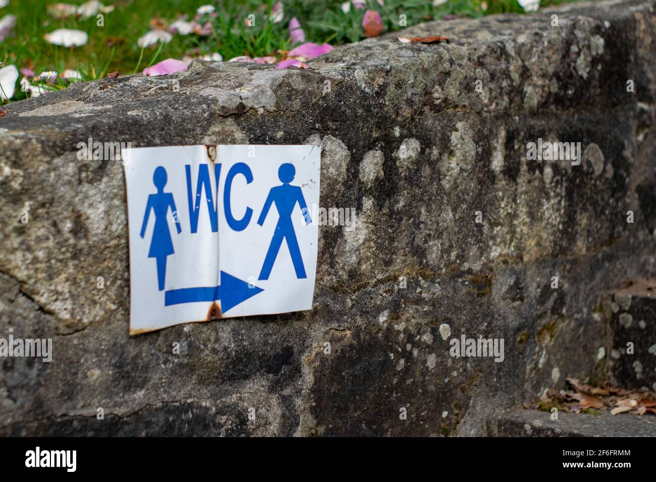 WC european signs, water closet or toilet, or a room containing a