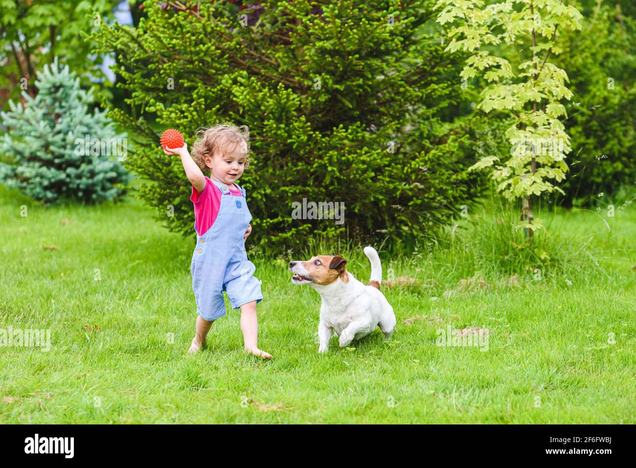 Child throwing ball to dog hires stock photography and images Alamy
