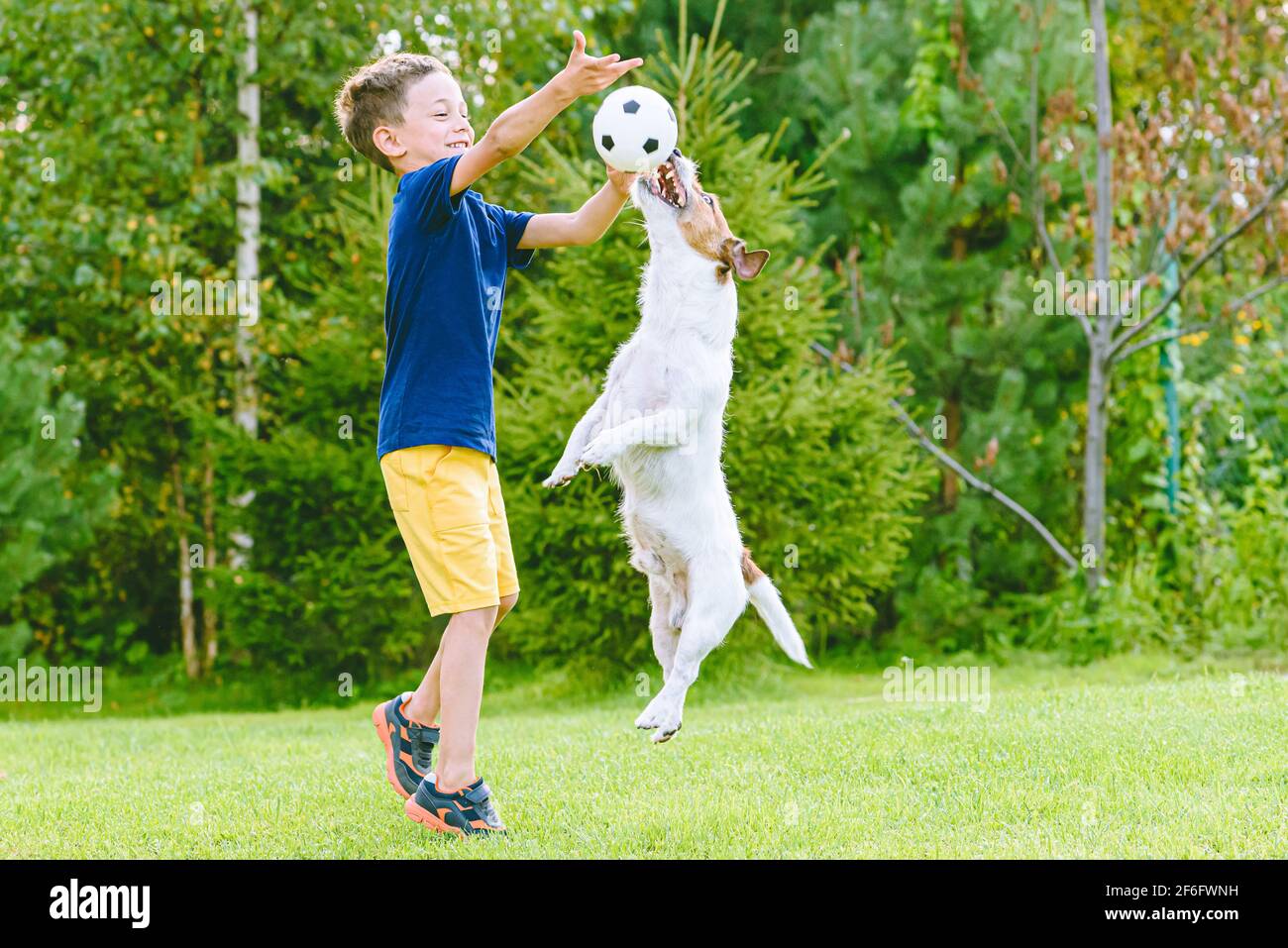 Kid boy exercise his dog outside with small football ball Stock Photo