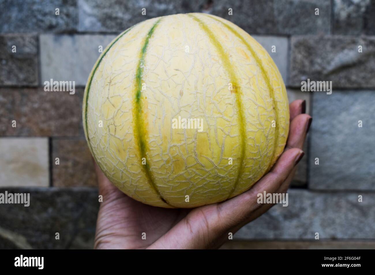 Kharbooza hi-res stock photography and images - Alamy, image size:1300x956