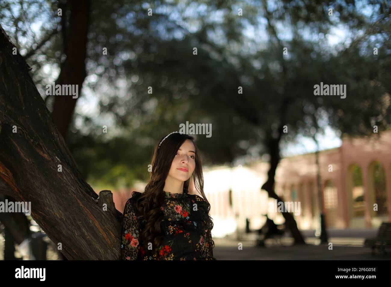 Portrait of Claudia Biebrich, fashion shoot. XV Years session   (Photo By Luis Gutierrez / NortePhoto.com)  Retrato de Claudia Biebrich, sesion de mod Stock Photo