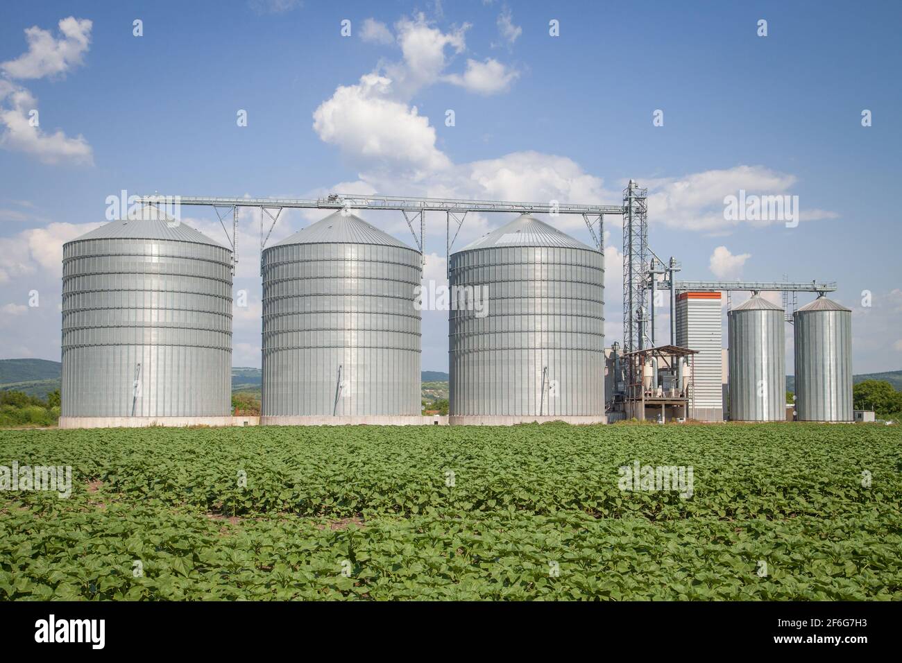 Agricultural Silo - Building Exterior, Storage and drying of grains, wheat, corn, soy, sunflower against the blue sky with white clouds Stock Photo