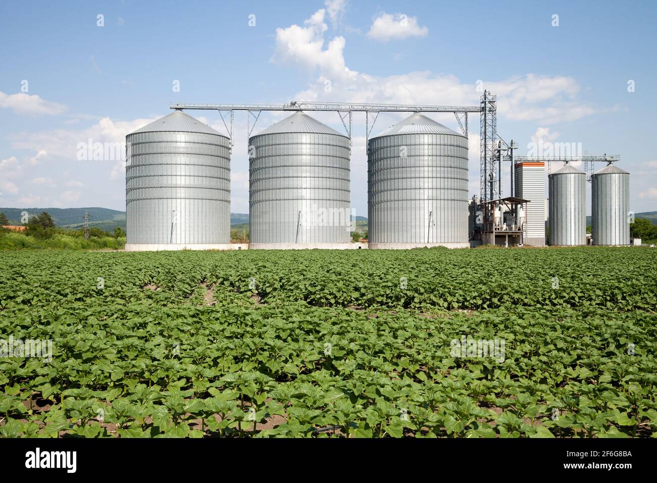 Agricultural Silo - Building Exterior, Storage and drying of grains, wheat, corn, soy, sunflower against the blue sky with white clouds Stock Photo