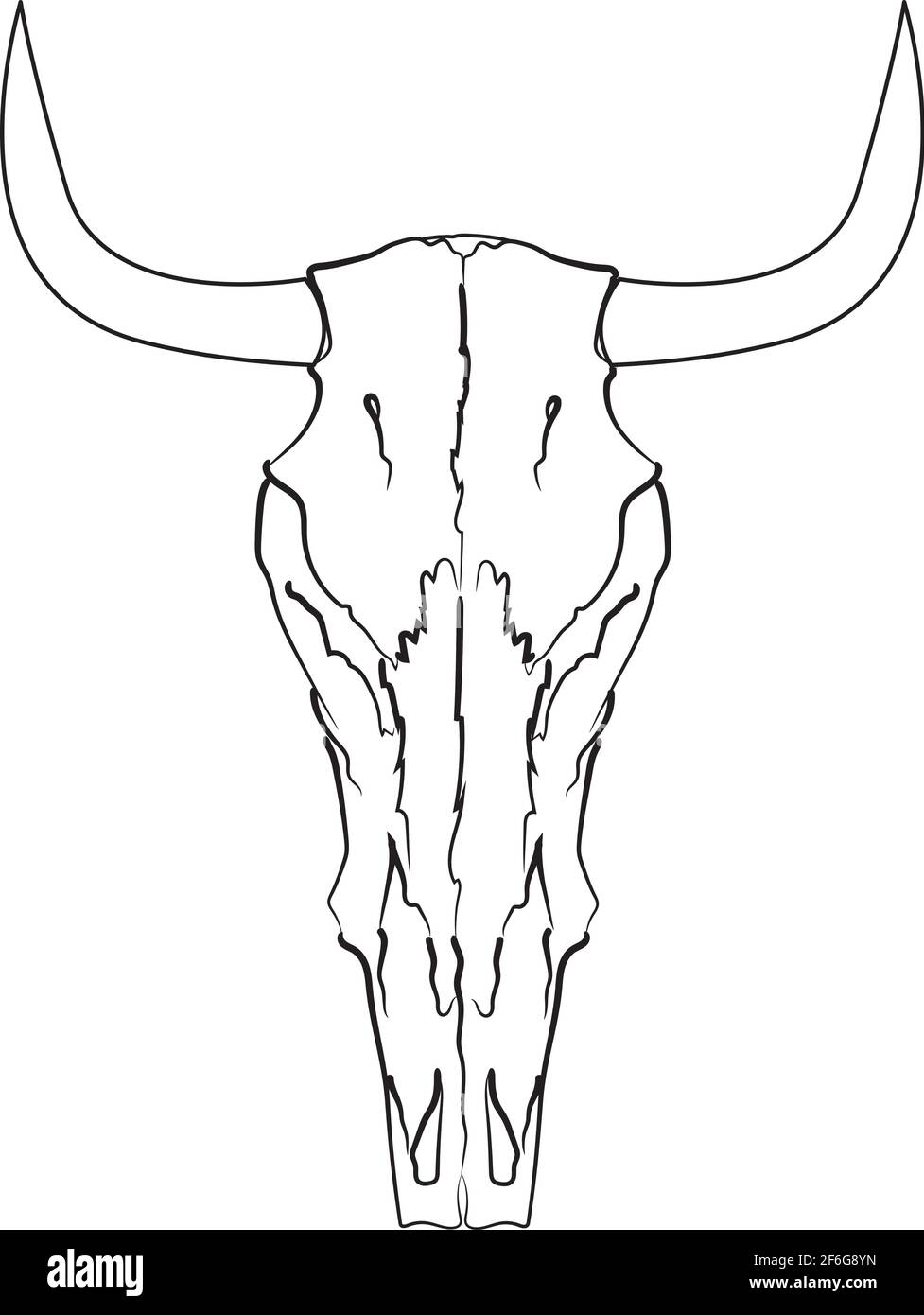Hand drawn skull Stock Vector