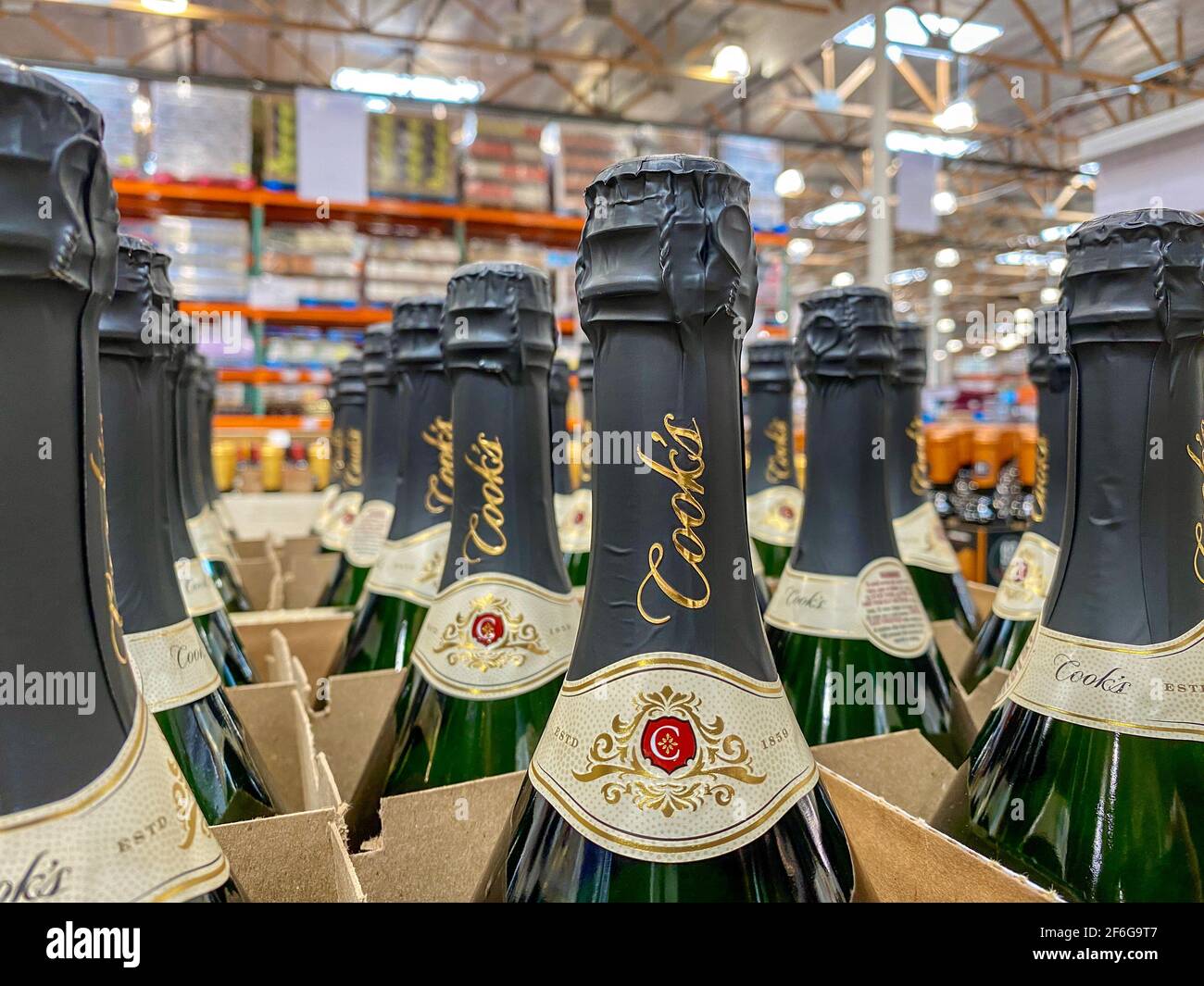 Bottles of Cook's Brut Sparkling wine champagne Stock Photo