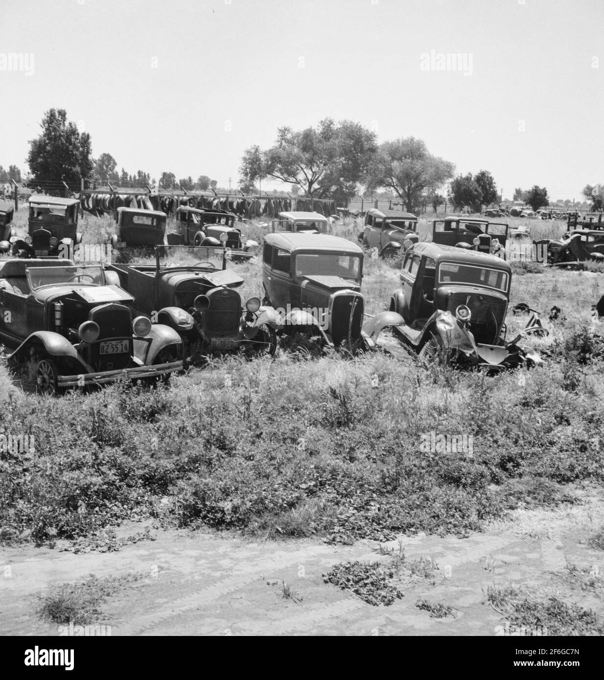 Woman picking litter Black and White Stock Photos & Images Alamy