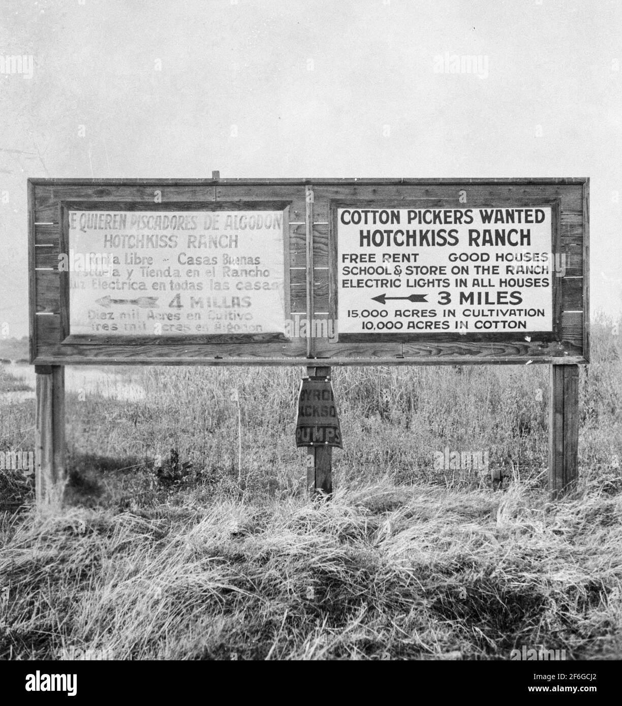 Employment signs in Spanish and English. These ranches (1938