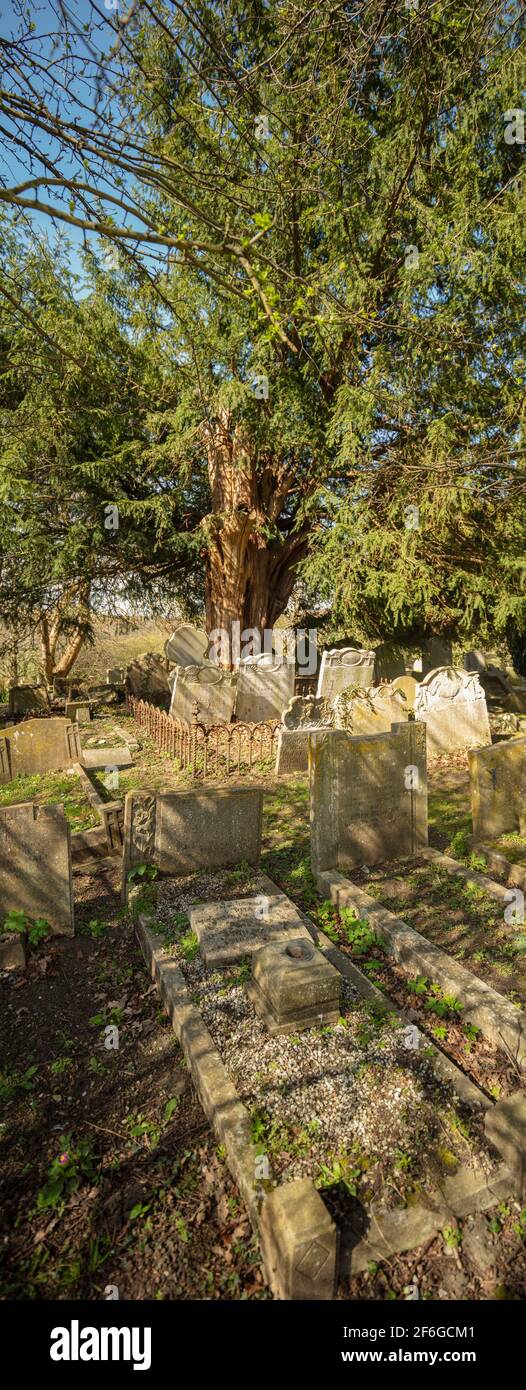 Moody view of the graveyard at Church of Saint John the Baptist, Layhams Road, West Wickham BR4