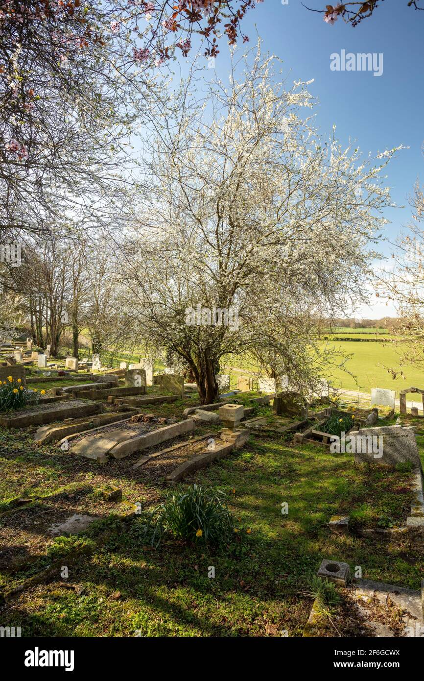 Moody view of the graveyard at Church of Saint John the Baptist, Layhams Road, West Wickham BR4