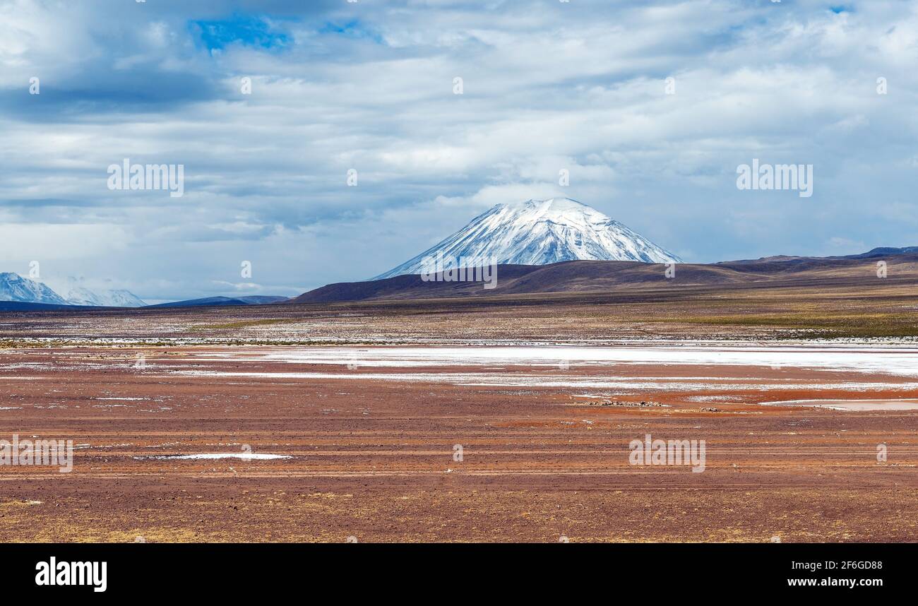 Misti volcano with snow and altiplano, Salinas y Aguada Blanca national reserve, Arequipa province, Peru. Stock Photo