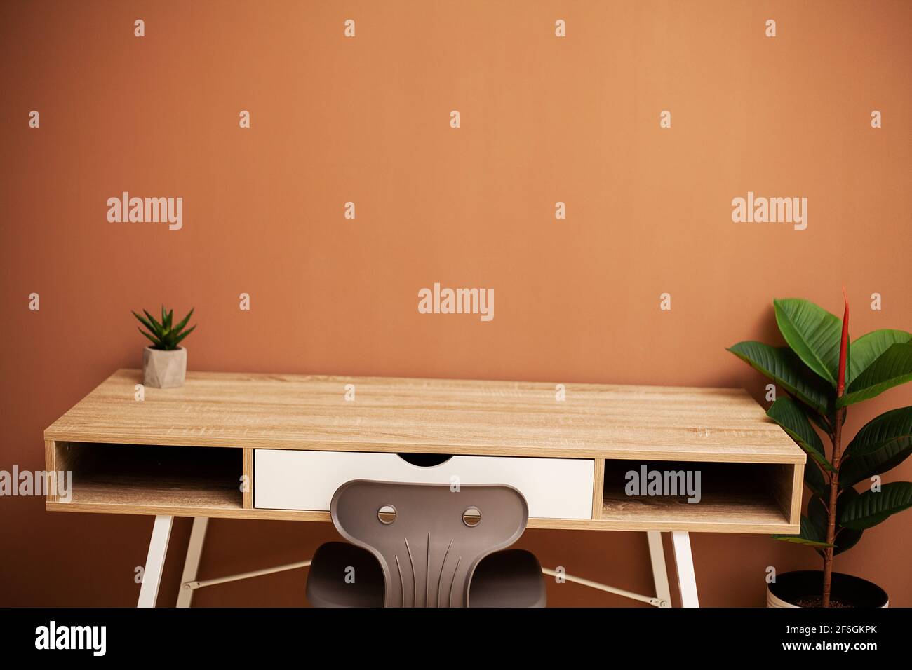 Modern empty wooden table and green plant Stock Photo - Alamy