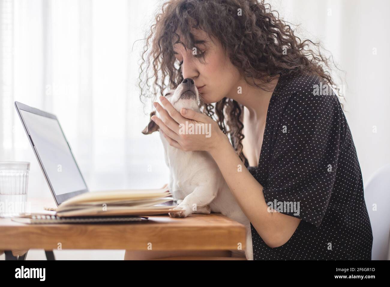 Modern freelancer woman playing with little cute dog working remotely ...