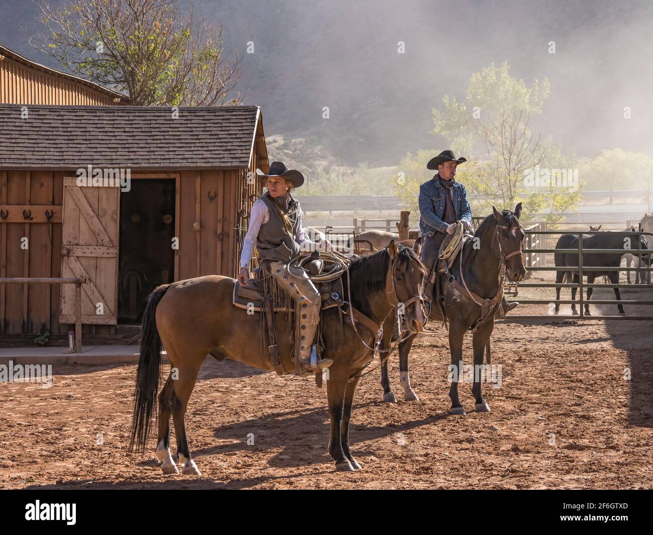 A young attractive working cowgirl wrangler and a cowboy on their horses on a ranch near Moab, Utah. Stock Photo
