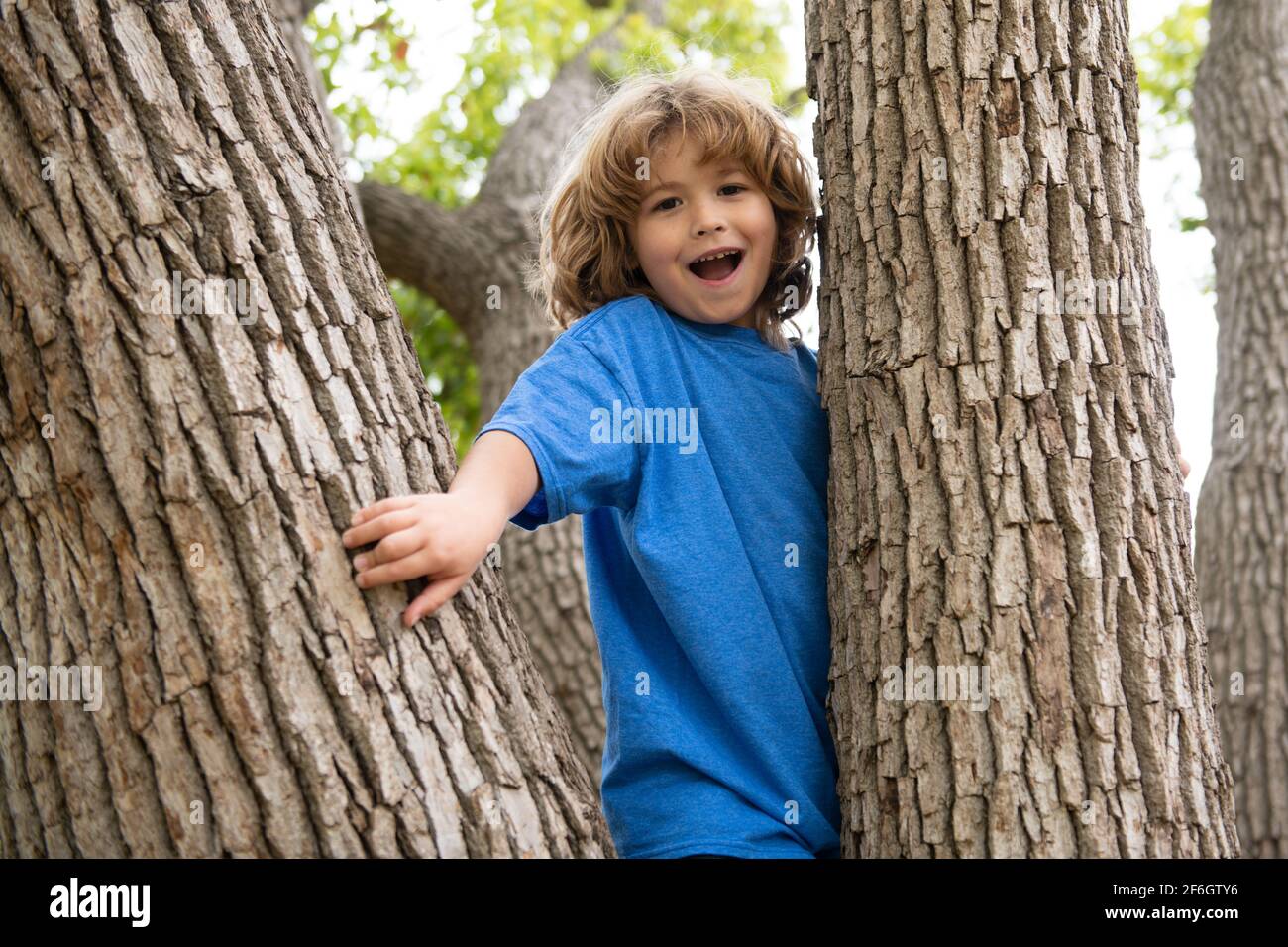 Active kid playing in summer park and climbing up the tree Stock Photo ...