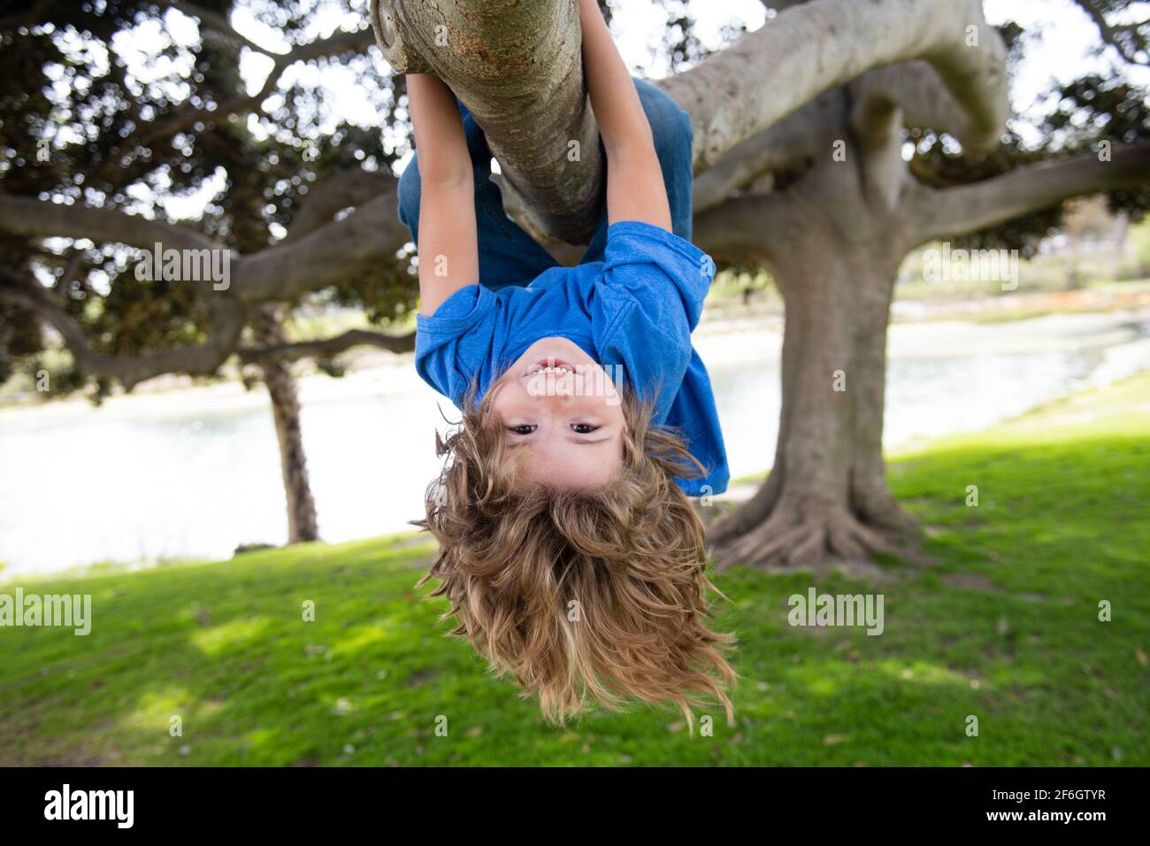 Little kid boy on a tree branch. Climbing and hanging child. Portrait of a beautiful kid in park among trees. Extreme kid sport. Child climbs a tree Stock Photo