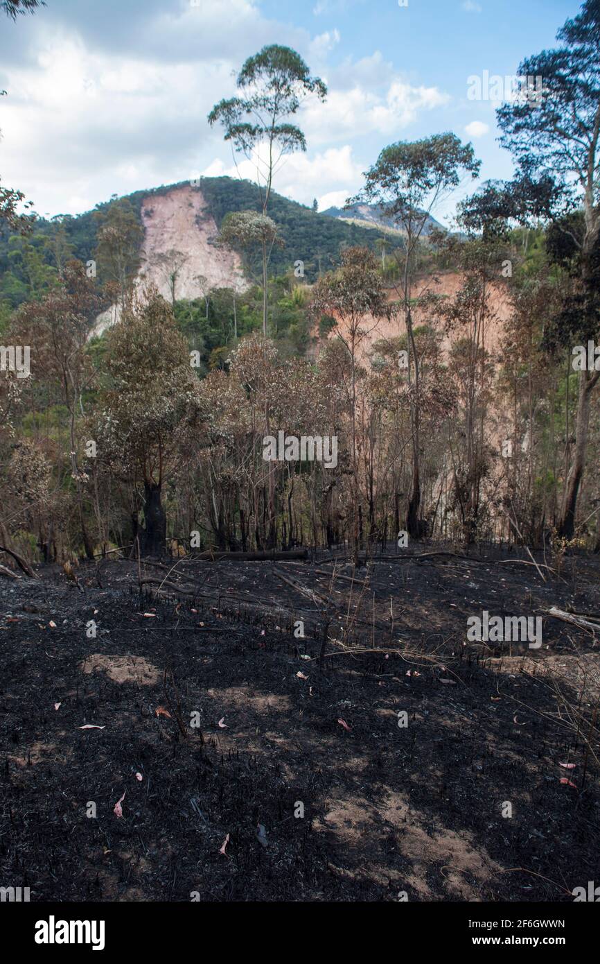 Double deforestation - slash-and-burn agriculture in foreground, a farming method that involves the cutting and burning of plants in a forest, and landslide caused by rain and erosion in background. Nova Friburgo, Rio de Janeiro state, Brazil. Stock Photo