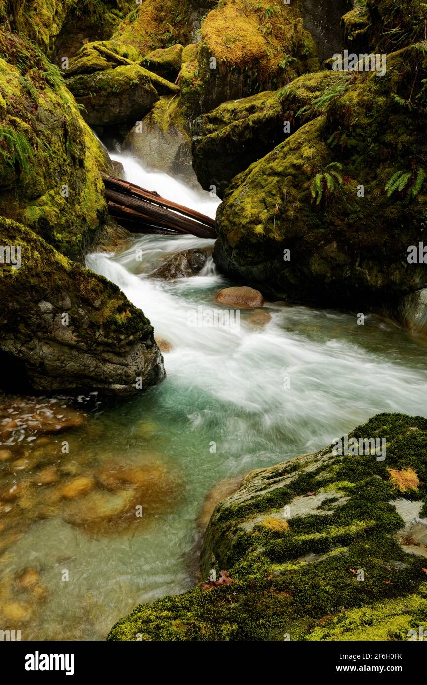 Big Creek falling over Teepee Falls and through mossy boulders ...