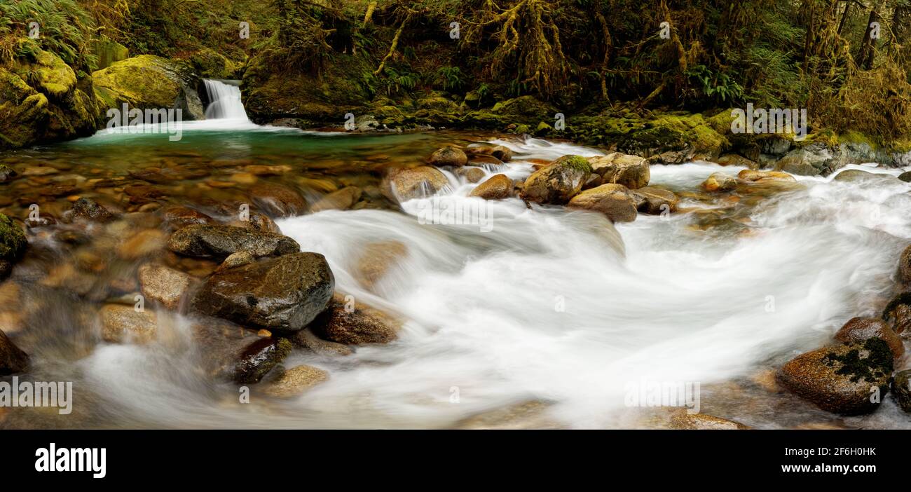 Big Creek falling over Teepee Falls and through mossy boulders ...