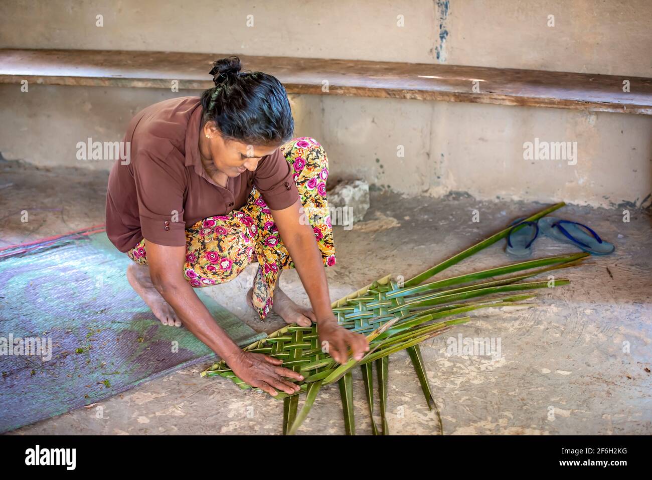 BENTOTA, SRI LANKA - 14 NOVEMBER, 2019: A woman resident of the island of Sri Lanka weaves a fragment of a roof from a palm leaf Stock Photo