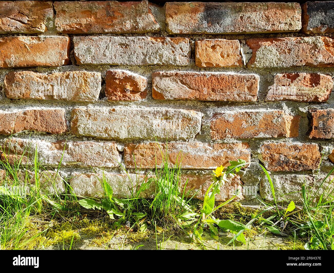 Background wall old orange red brick stone brick cement flower grass in the foreground worn out retro antique crumble enclosure fence delimitation Stock Photo