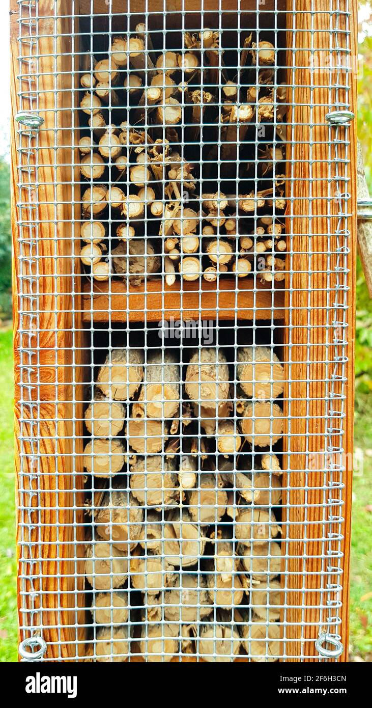 Insects Hotel made of wood, clay, clay without bird protection Bees Wild bees nest here, holes as a brood aid hatch larvae insect baby offspring Wild Stock Photo