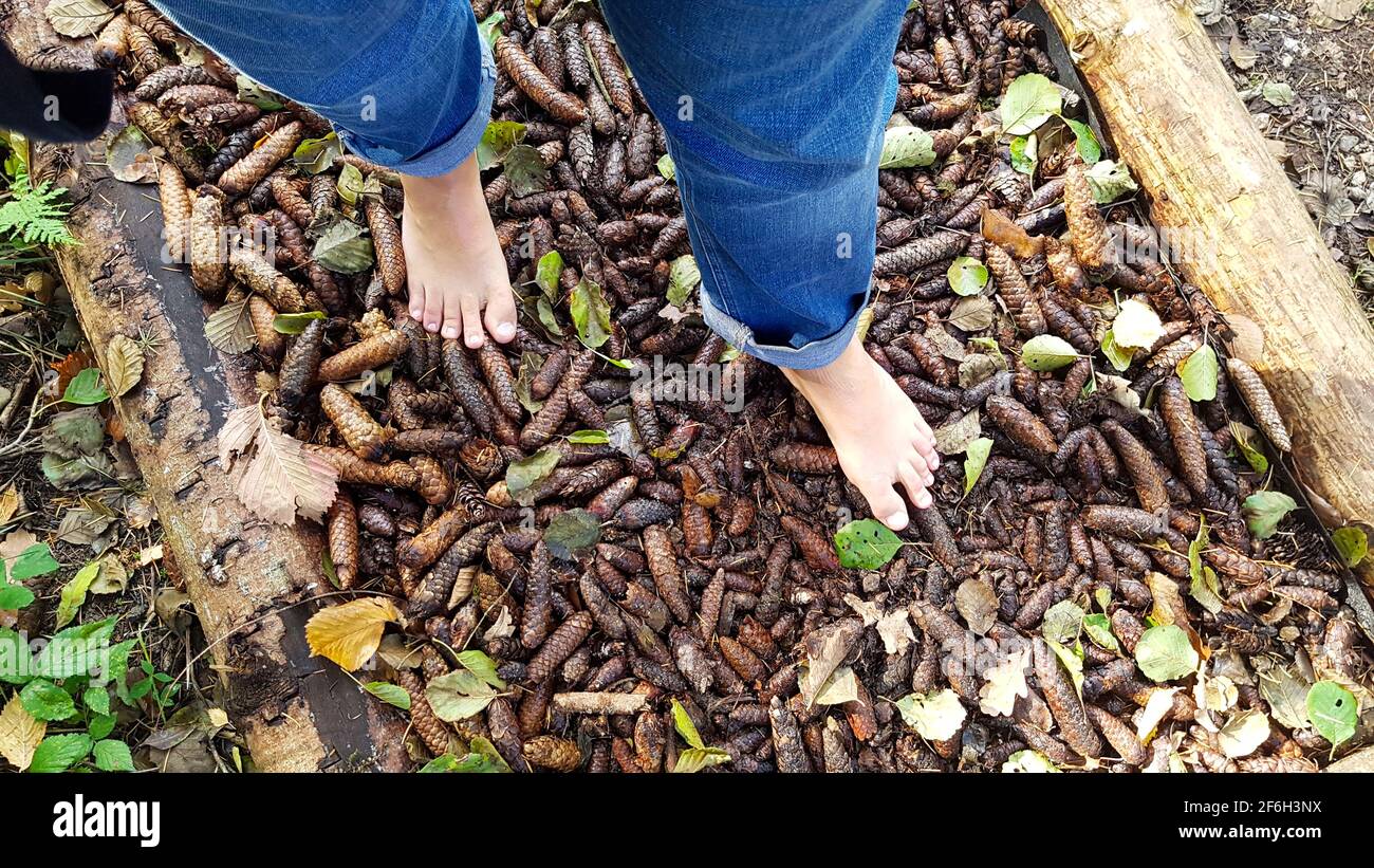 Barefoot Path Foot Feet Barefoot Path Pine Cone Outside Experience Child Footsteps Young Man Woman Feel Feel Touch Explore Experience Nature Trail Stock Photo