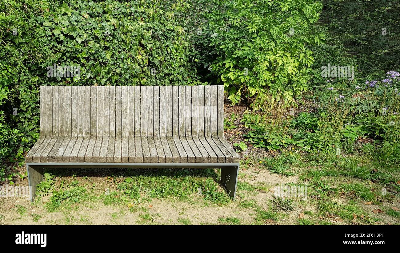 Park bench bench wood old alone lonely empty surrounded by green plants ingrown rustic modern vacancy lockdown social isolation loneliness silence Stock Photo