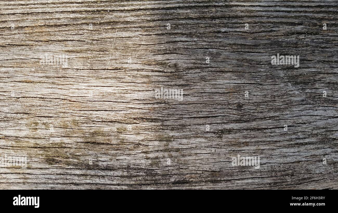 Wood surface background rough coarse gray brown structure grain pattern