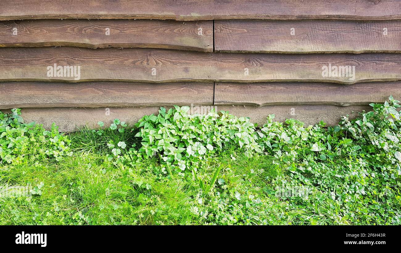 Background template wood brown clapboard board surface stacked cladding grass green template natural natural environment bio eco underground Stock Photo