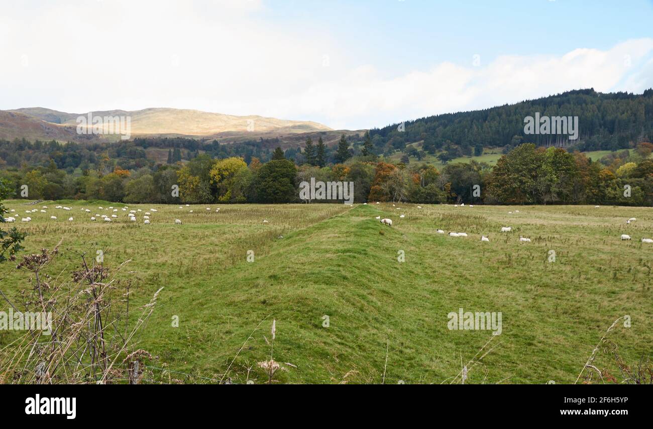 Perth Andover Rural Rural perthshire hi-res stock photography and images - Alamy