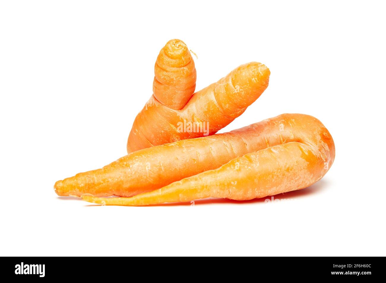 Fresh natural ugly raw carrot isolated on white background. Stock Photo