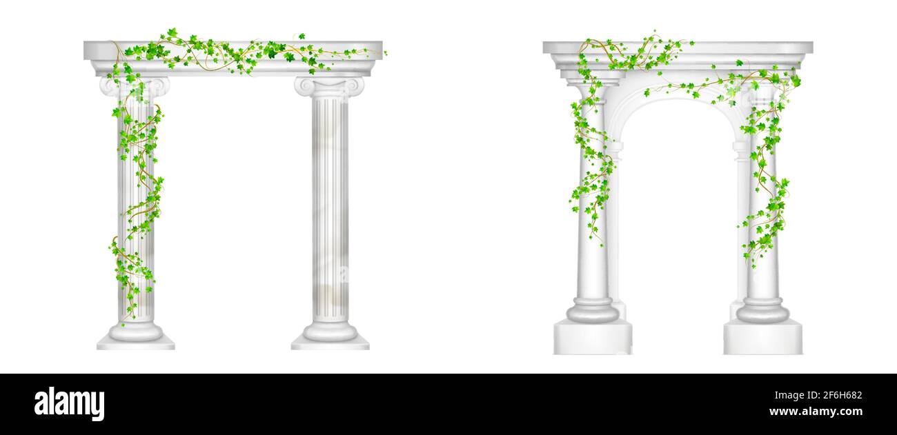 Old greek arch with white marble columns and ivy vines with green leaves. Vector realistic set of 3d ancient roman pillars with climbing plants isolated on white background Stock Vector