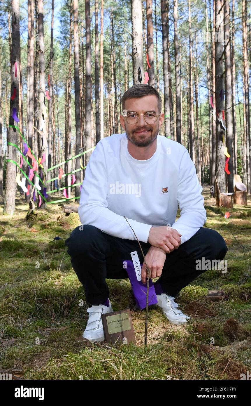 Mirow, Germany. 30th Mar, 2021. Entertainer and entrepreneur Joko Winterscheidt plants tree seedlings in a forest near Mirow in the Mecklenburg Lake District at the launch of the new sustainable sock label Cheerio. They are to help turn a monoculture area into a stable and healthy mixed forest. Proceeds from the sale of the socks by the online mail order company About You are to flow into the project. Credit: Jens Kalaene/dpa-Zentralbild/dpa/Alamy Live News Stock Photo
