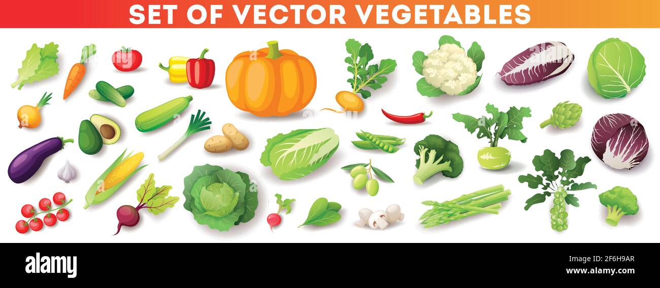 Colorful fresh vegetables set isolated, organic healthy food Stock Vector