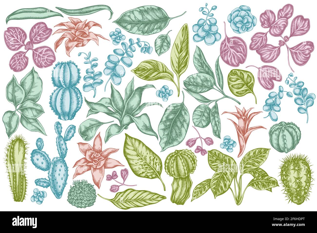 Vector set of hand drawn pastel ficus, iresine, kalanchoe, calathea, guzmania, cactus Stock Vector