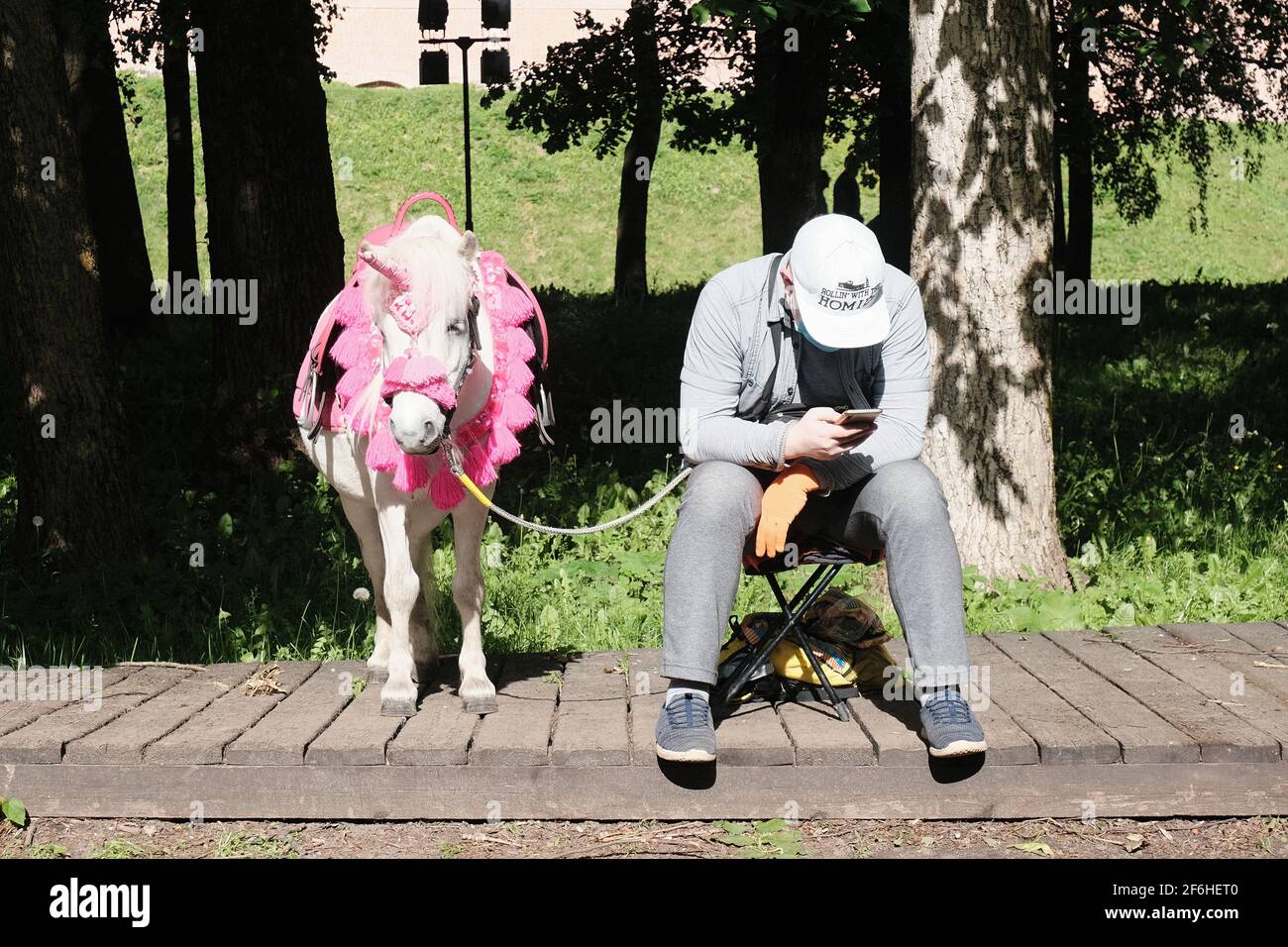 Velikiy Novgorod, Russia, Aleksandr Kirillov - 02052020: 'Pony in the form of a unicorn and the owner' Stock Photo