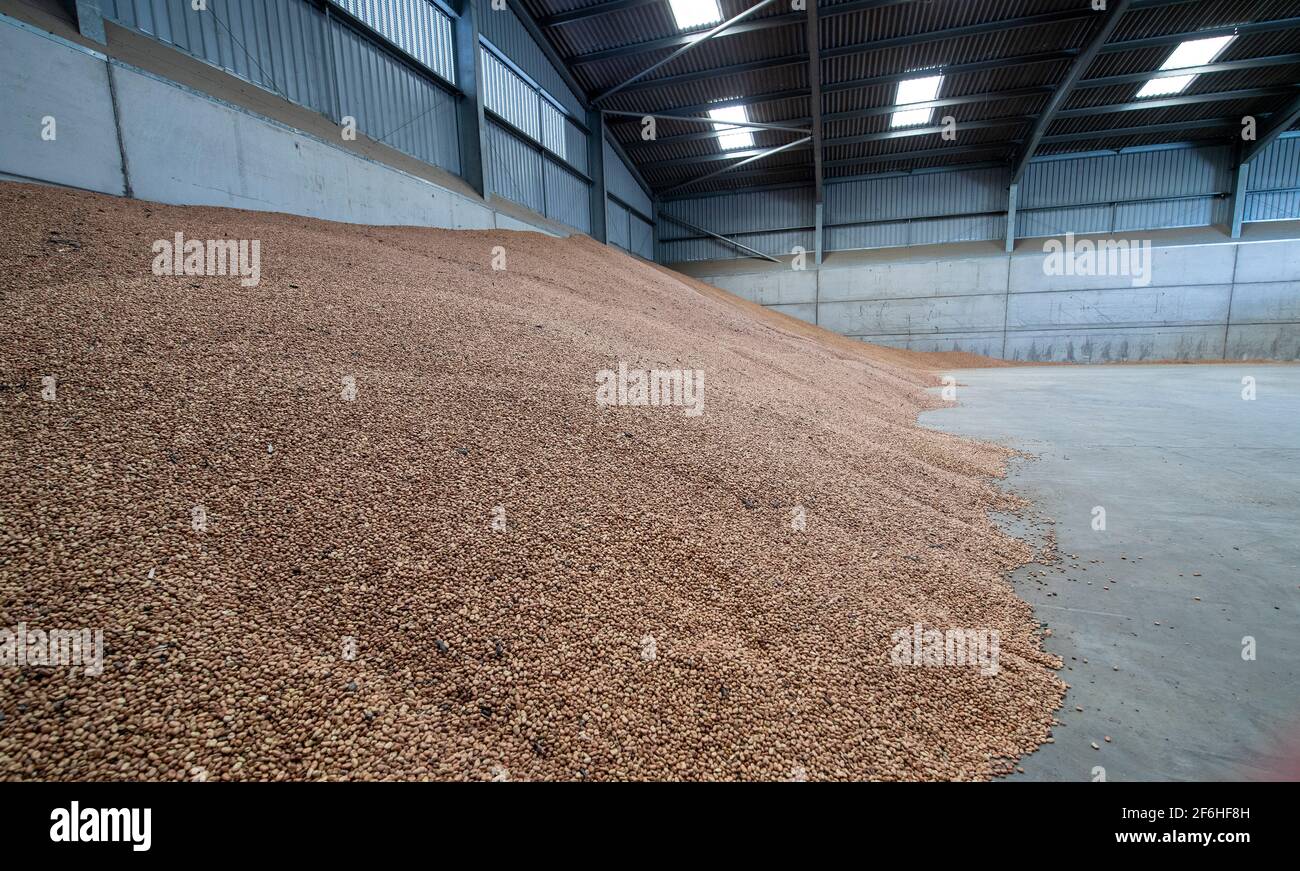 Animal feed uk hires stock photography and images Alamy